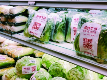 如何讓包裝“綠”起來(lái)？