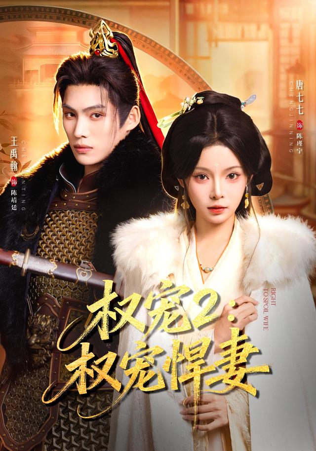 权宠2：权宠悍妻海报